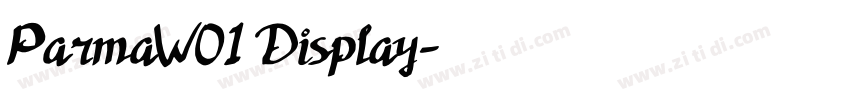 ParmaW01 Display字体转换